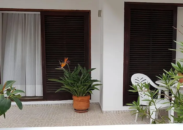 Apartamento Luminoso Con Patio Y Jardin