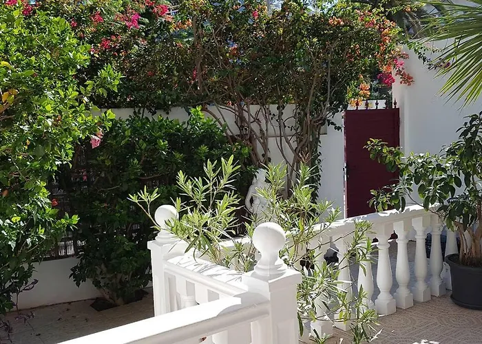 Apartamento Luminoso Con Patio Y Jardin