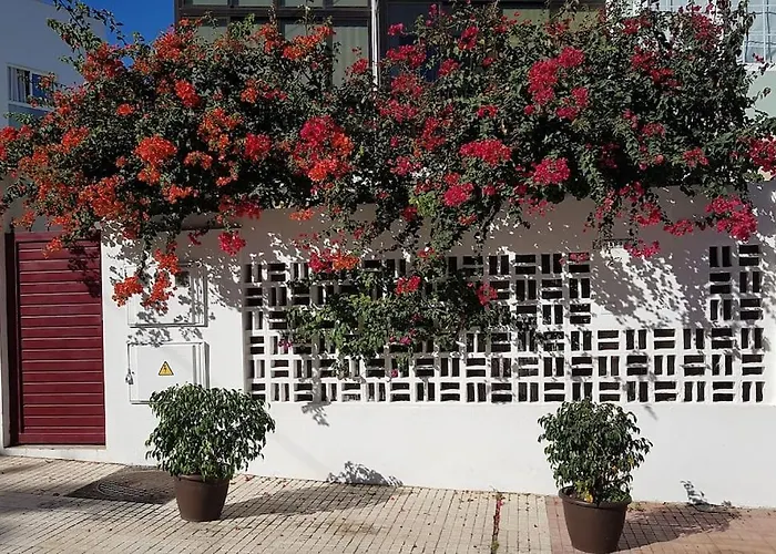Apartamento Luminoso Con Patio Y Jardin