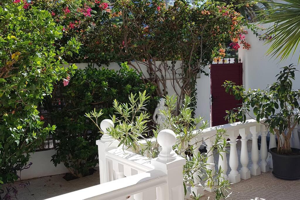 Luminoso Con Patio Y Jardin Apartamento *