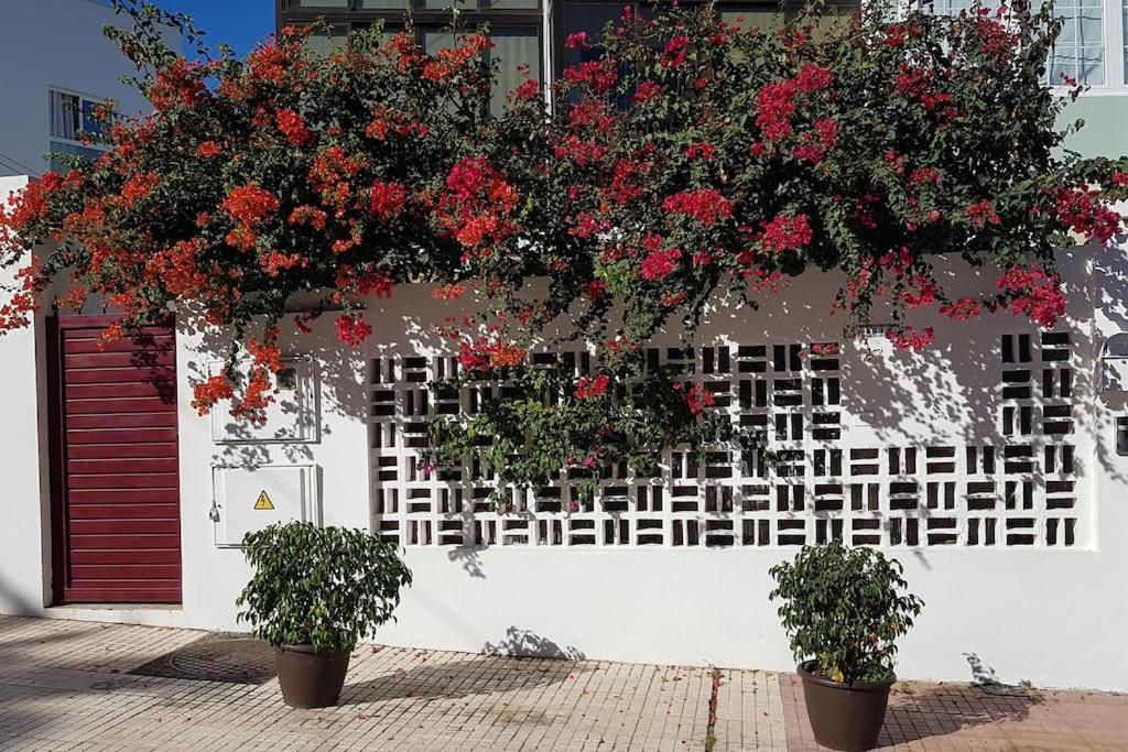 Apartment Luminoso Con Patio Y Jardin *